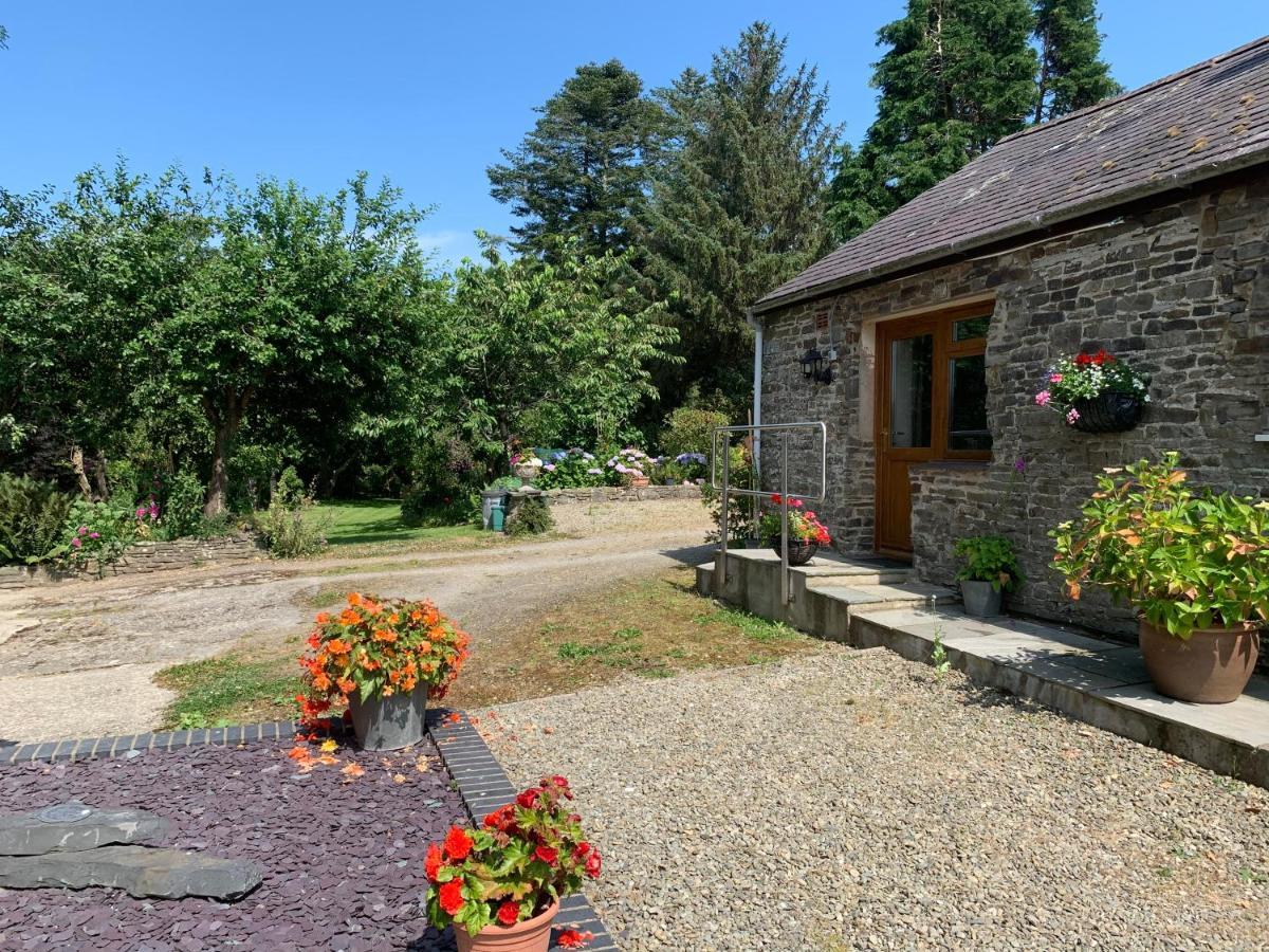 Parc Farm B&B Llanarth  Екстер'єр фото