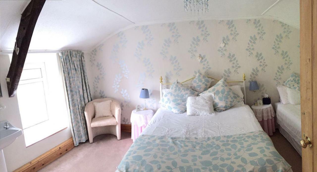 Parc Farm B&B Llanarth  Екстер'єр фото
