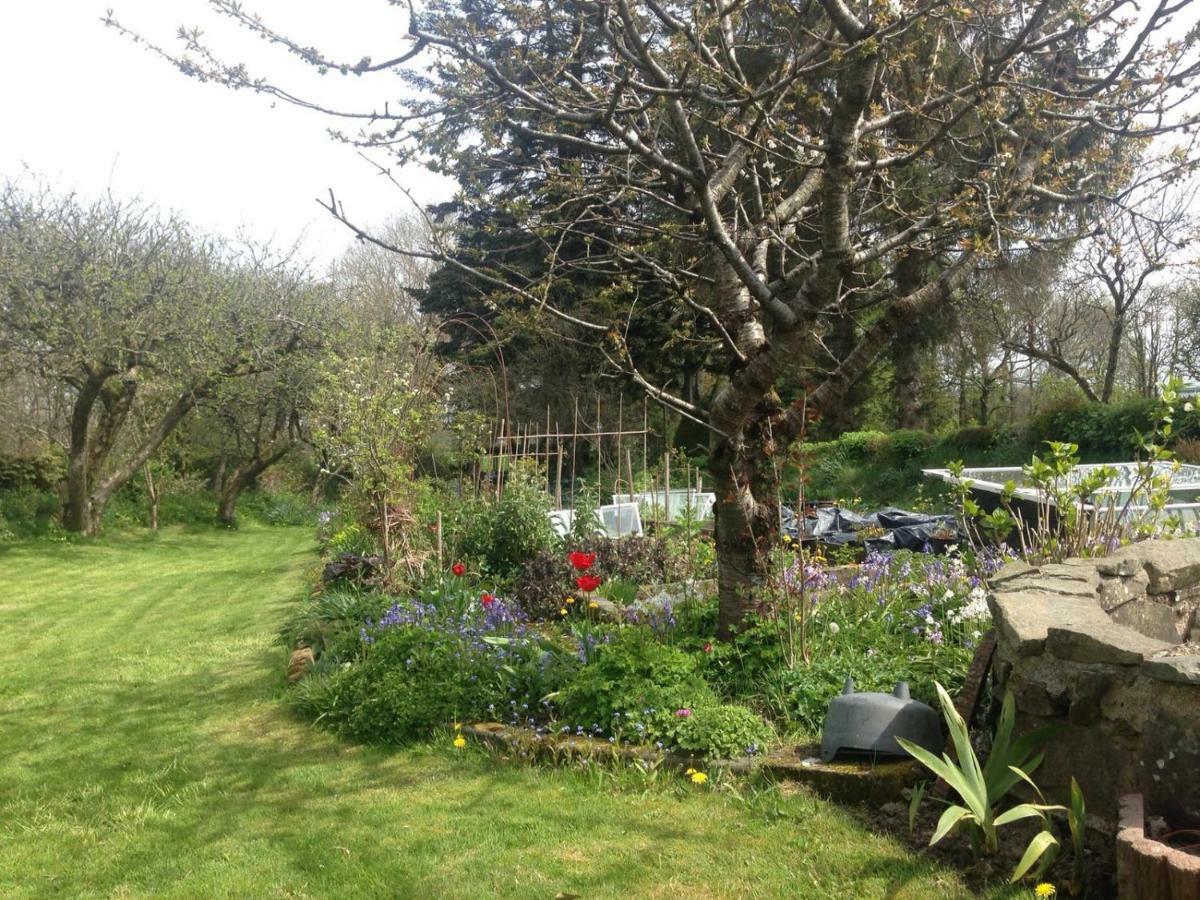 Parc Farm B&B Llanarth  Екстер'єр фото
